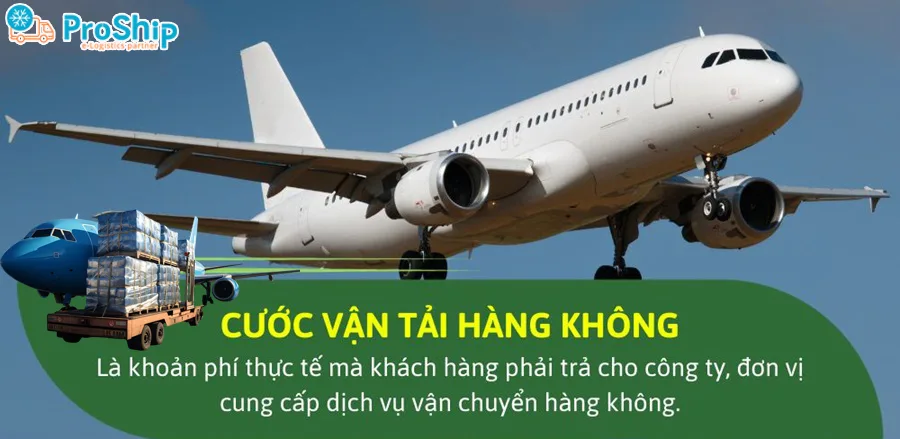 phương tiện vận chuyển 9999 là gì